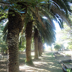 DSC02793.JPG