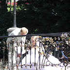 Riga (297).jpg