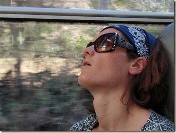 Tren de Aguas Calientes