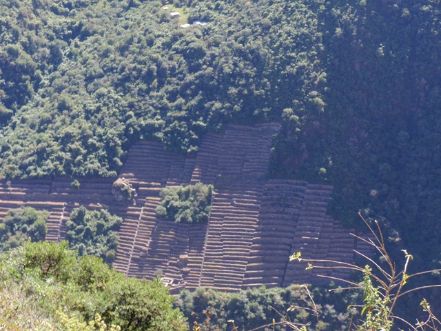 [machupicchu2013.jpg]