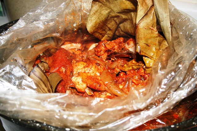 [cochinitapibil104.jpg]