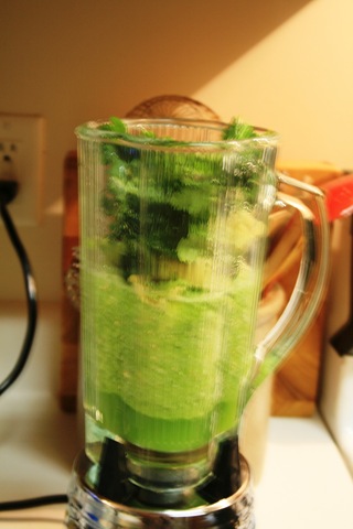 [salsaconaguacate4[1].jpg]