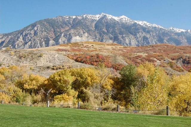 [DSC_0386[2].jpg]