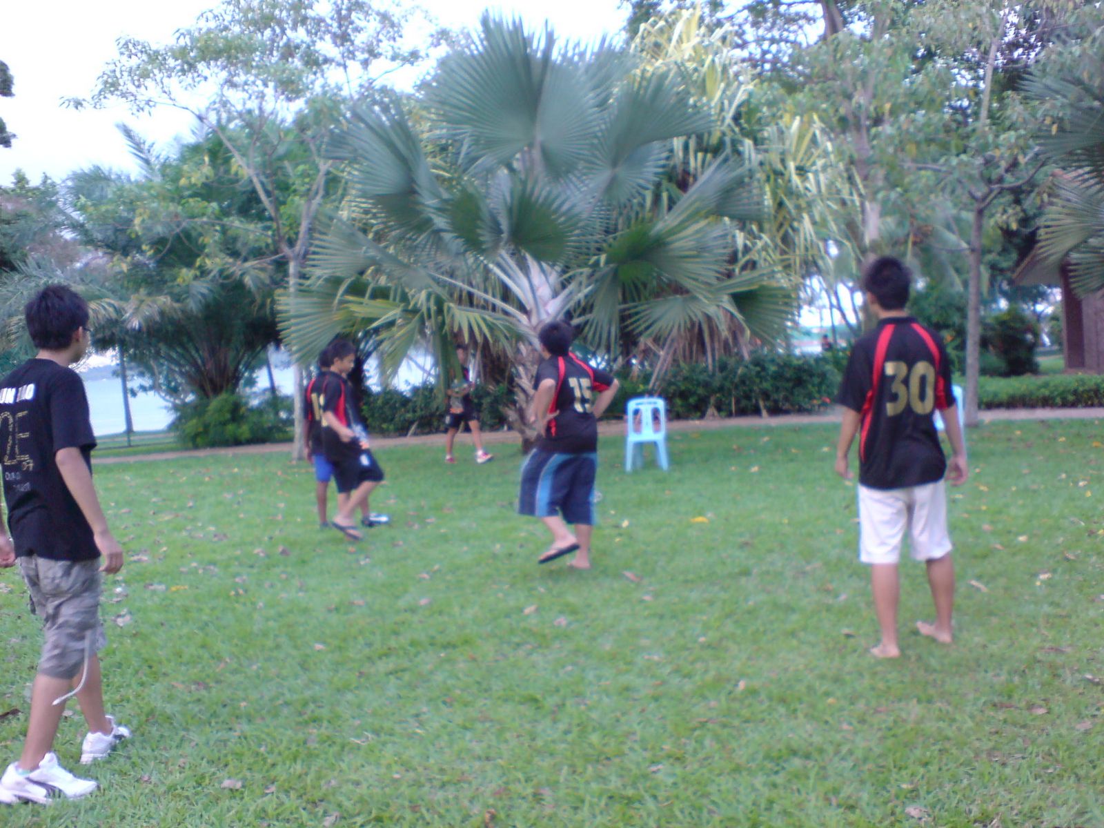 [DSC00240.JPG]