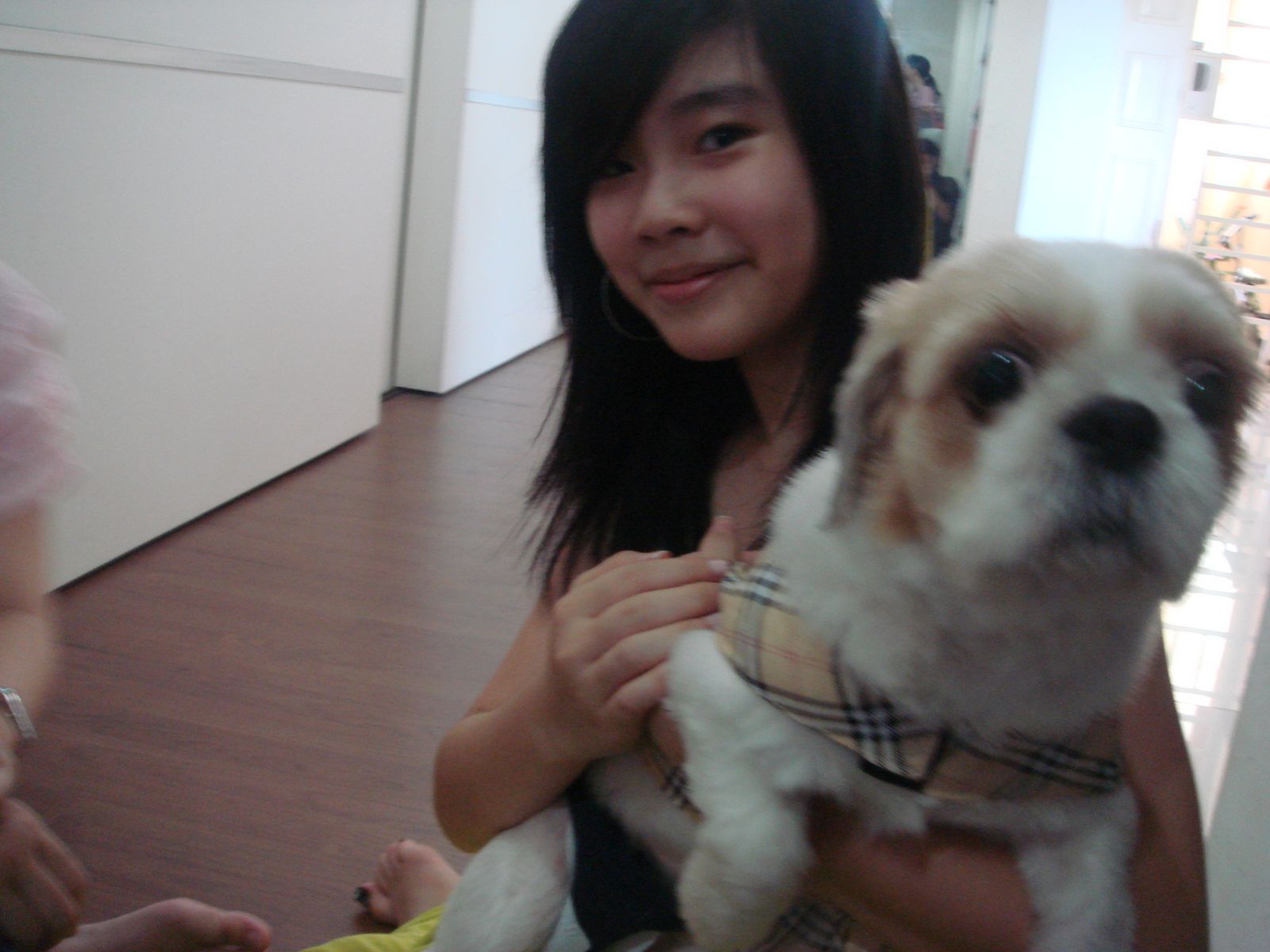 [DSC05239.JPG]