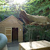 R0023799.JPG