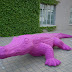 R0024008.JPG