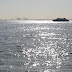 IMG_4616.JPG
