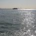 IMG_4618.JPG