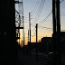 IMG_4823.JPG