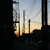 IMG_4825.JPG
