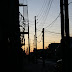 IMG_4826.JPG
