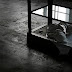 IMG_5314.JPG