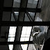 IMG_5318.JPG