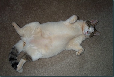 Sweet roll 2
