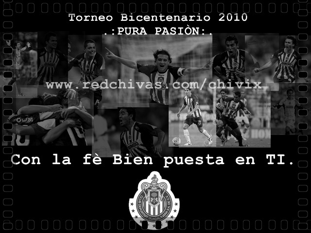http://lh4.ggpht.com/_aVp6GpAMsJ0/S4WDDqUADgI/AAAAAAAACHc/VjYmXL38GFU/s800/bc2010.jpg