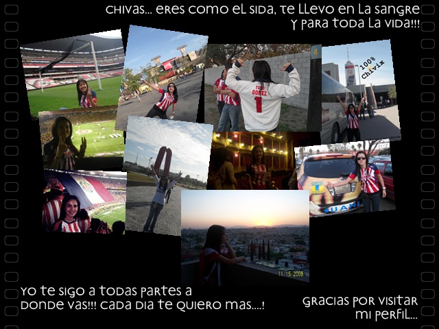 http://lh4.ggpht.com/_aVp6GpAMsJ0/S4WQmHN-xUI/AAAAAAAACJ8/0f0SxEVFwMM/s800/fin.jpg