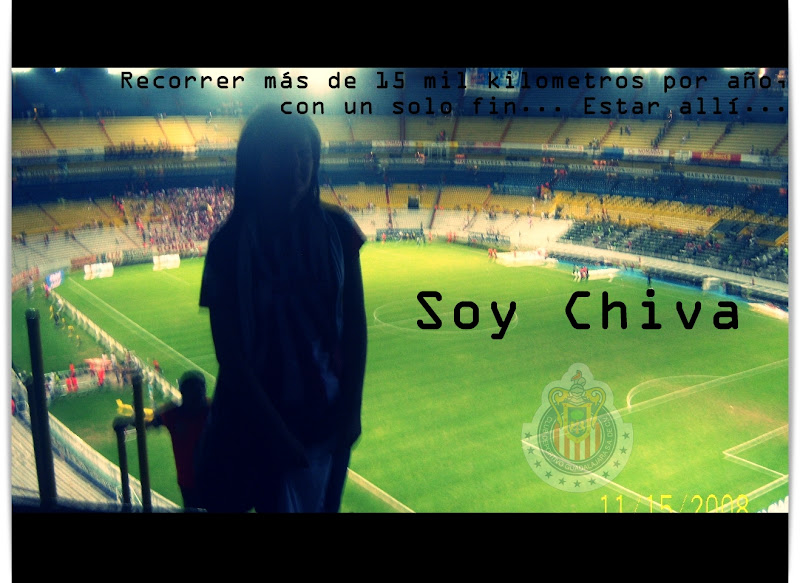 http://lh4.ggpht.com/_aVp6GpAMsJ0/TAQ0Q2Uw-lI/AAAAAAAACa0/SlZx8MD5omc/s800/Libre4.jpg