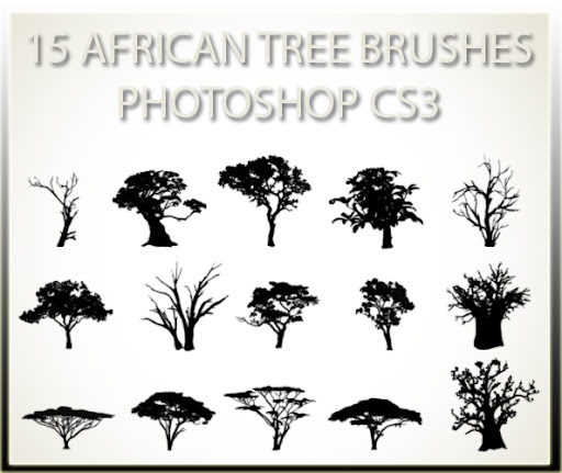 15 African Tree Brushes PSCS3 15 African Tree Brushes PSCS3