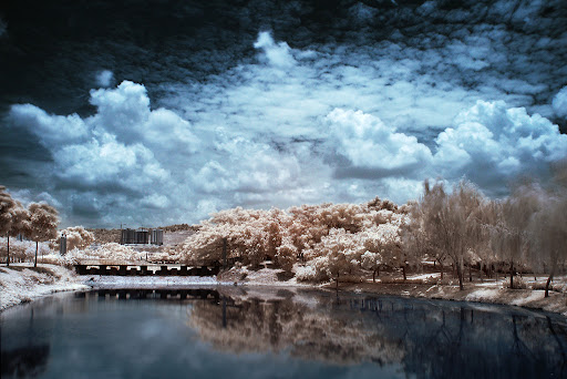 This IR photograph taken using Hoya IR R72 Filter with Focal Length: 18mm and Aperture: f22