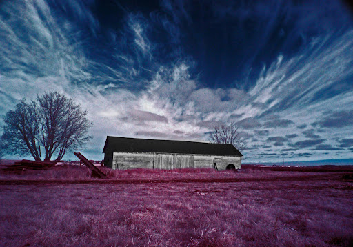 Infrared Photography - taken with infrared filter, suntec ir72