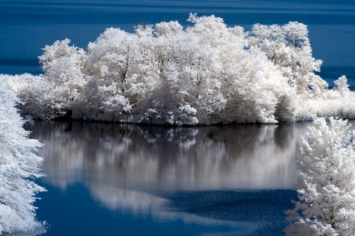 Tree Reflections infrared photography taken by John Brian Silverio