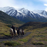 Trek du "W", Parque Torres del Paine - Chili