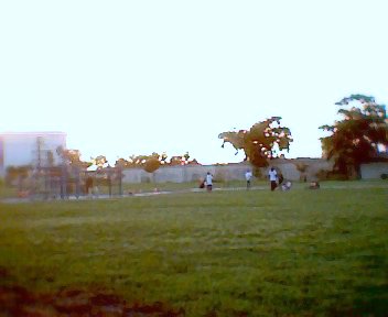 Pembroke Park Preserve Image