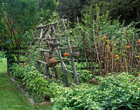 [garden-2-0809-de[2].jpg]
