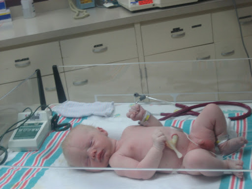 Shepard, Nathan