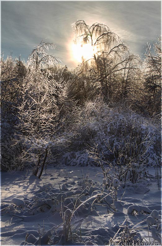 Ice Land