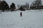 _DSC0049.NEF (Raw)