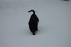 _DSC0115.NEF (Raw)