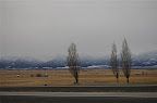 _DSC0126.NEF (Raw)