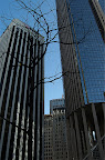 DSC_0039.NEF (Raw)