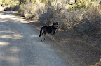 _DSC0103.NEF (Raw)