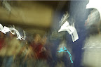 _DSC0064.NEF (Raw)