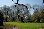 _DSC0042.NEF (Raw)