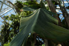 _DSC0072.NEF (Raw)