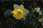 _DSC0089.NEF (Raw)