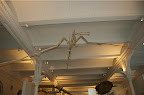 DSC_0018.NEF (Raw)