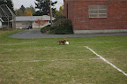 DSC_0021.NEF (Raw)