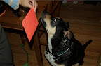 DSC_0002.NEF (Raw)