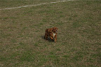 DSC_0035.NEF (Raw)