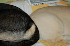 DSC_0002.JPG