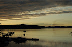 DSC_0007.NEF (Raw)