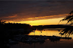 _DSC0035.NEF (Raw)