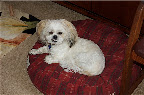 DSC_0121.NEF (Raw)