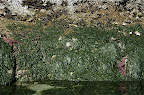 DSC_0151.NEF (Raw)