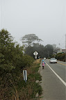 _DSC0079.NEF (Raw)
